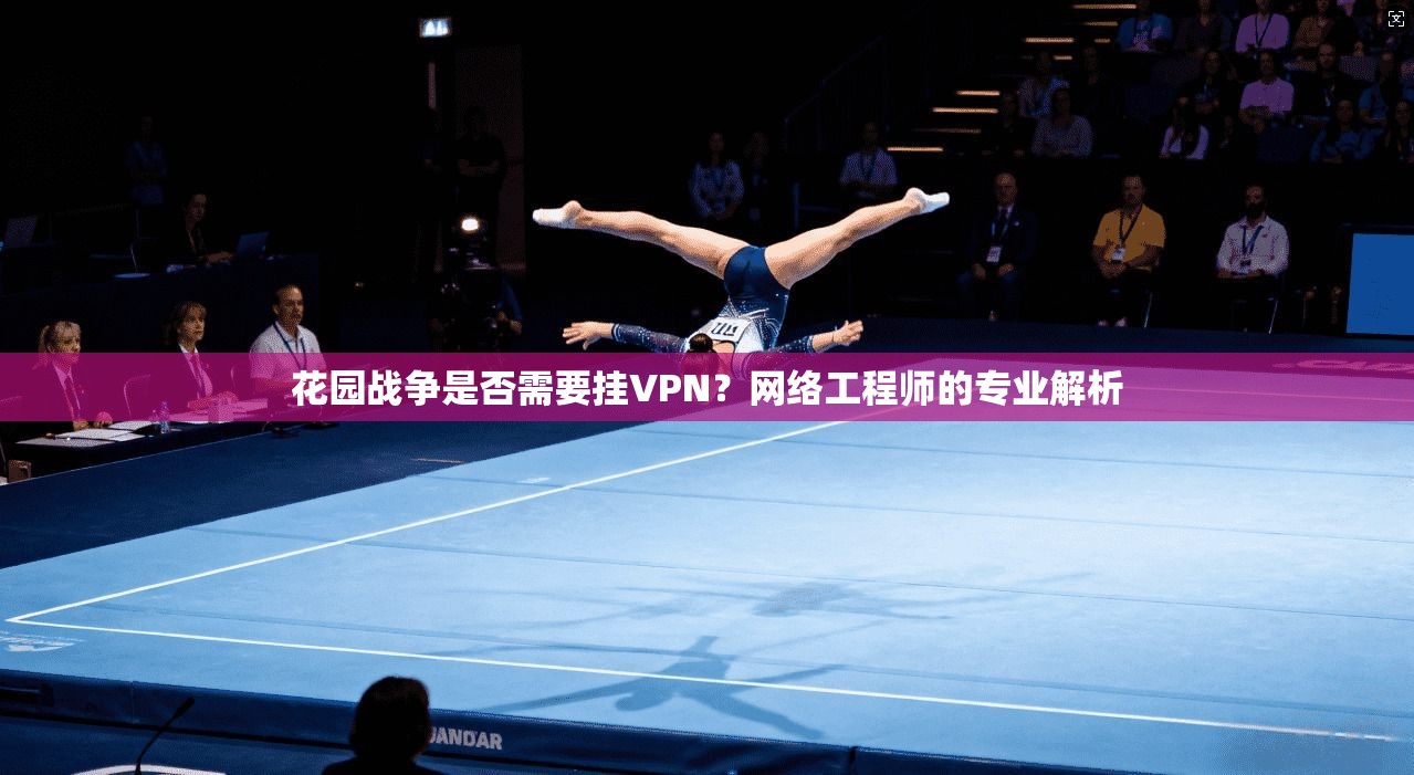 花园战争是否需要挂VPN？网络工程师的专业解析