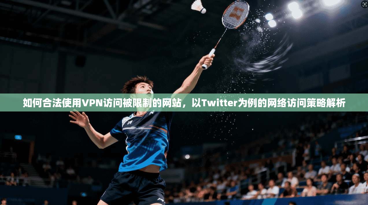 如何合法使用VPN访问被限制的网站，以Twitter为例的网络访问策略解析