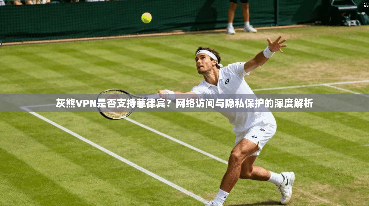 灰熊VPN是否支持菲律宾？网络访问与隐私保护的深度解析
