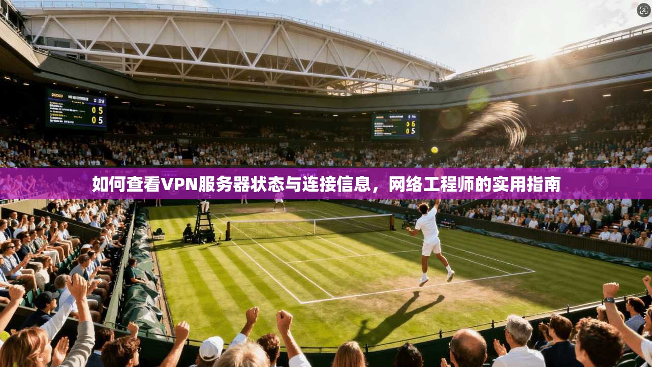 如何查看VPN服务器状态与连接信息，网络工程师的实用指南