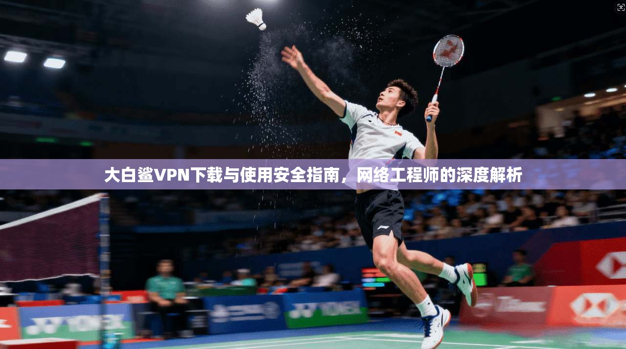 大白鲨VPN下载与使用安全指南,网络工程师的深度解析