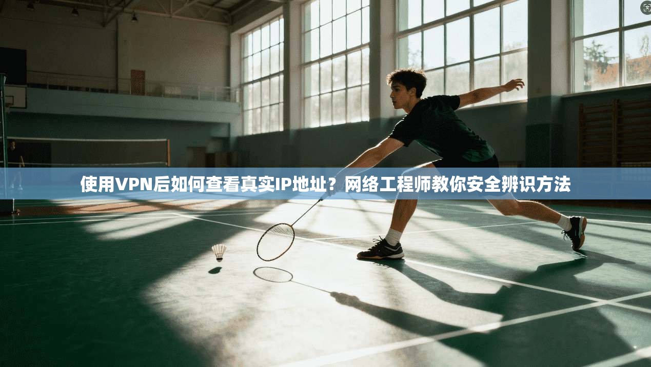 使用VPN后如何查看真实IP地址?网络工程师教你安全辨识方法 使用VPN后如何查看真实IP地址?网络工程师教你安全辨识方法