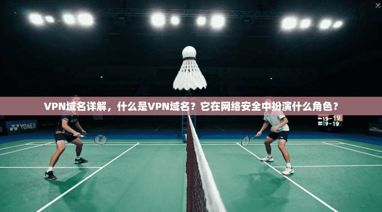 VPN域名详解,什么是VPN域名?它在网络安全中扮演什么角色?