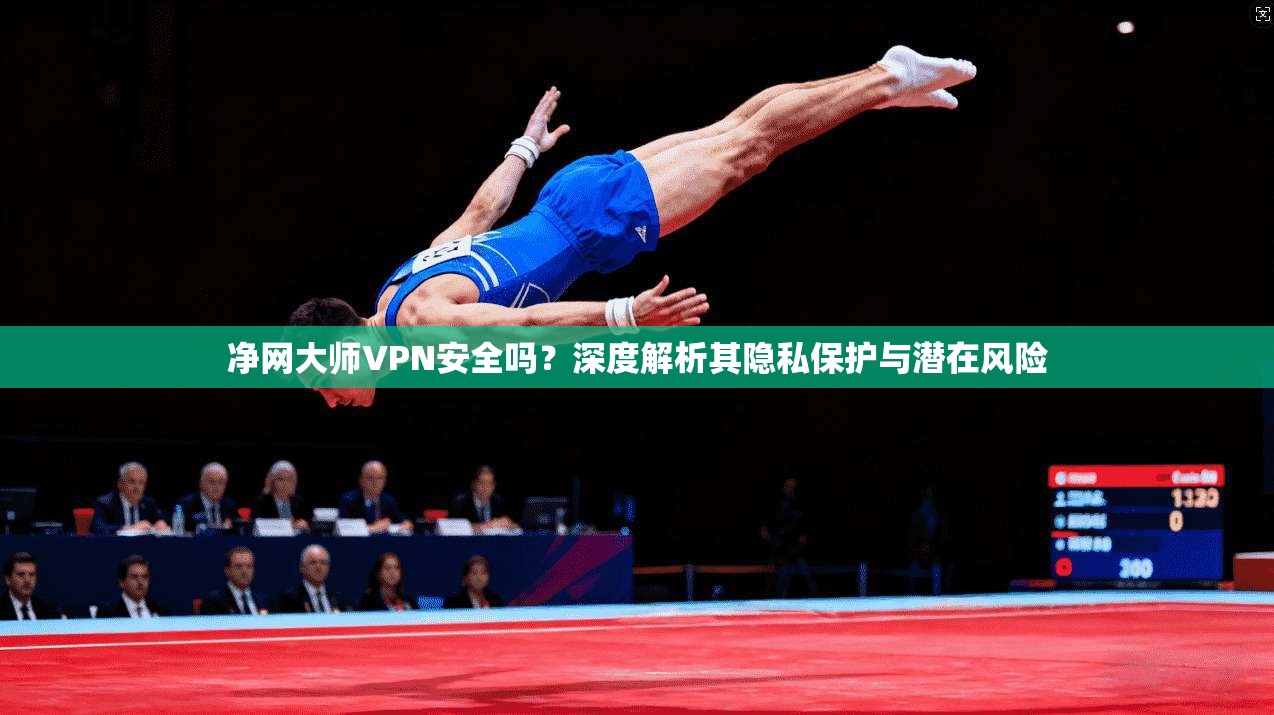 净网大师VPN安全吗？深度解析其隐私保护与潜在风险