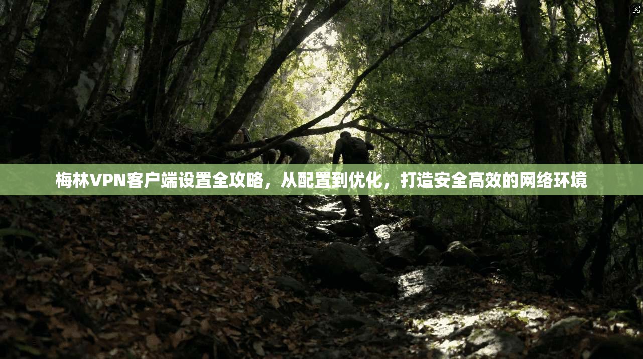 梅林VPN客户端设置全攻略，从配置到优化，打造安全高效的网络环境