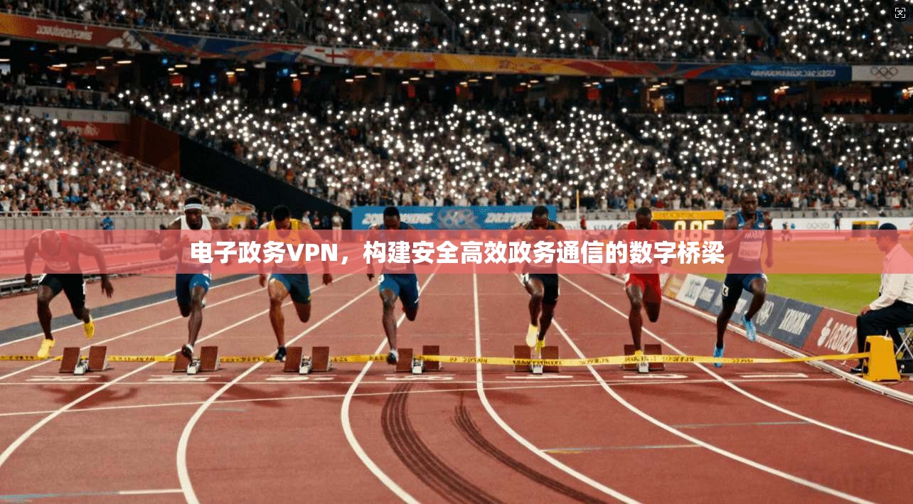 电子政务VPN，构建安全高效政务通信的数字桥梁