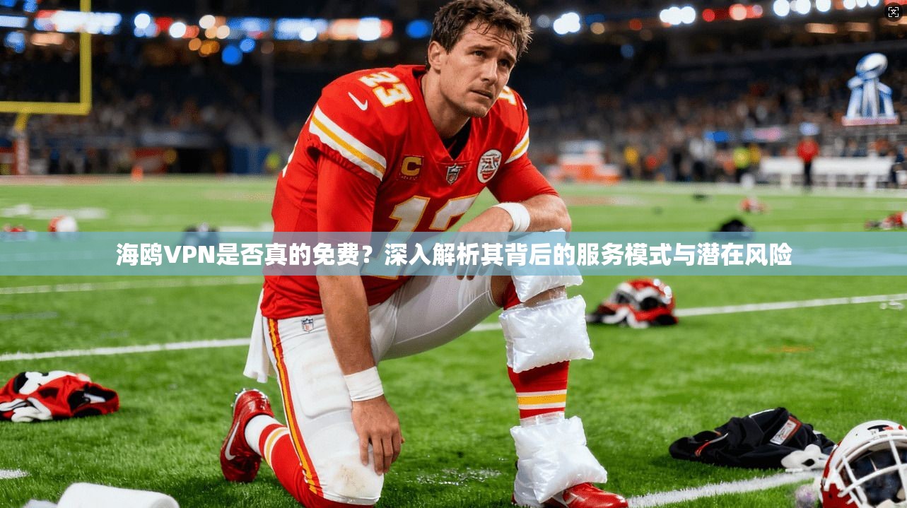 海鸥VPN是否真的免费?深入解析其背后的服务模式与潜在风险 海鸥VPN是否真的免费?深入解析其背后的服务模式与潜在风险