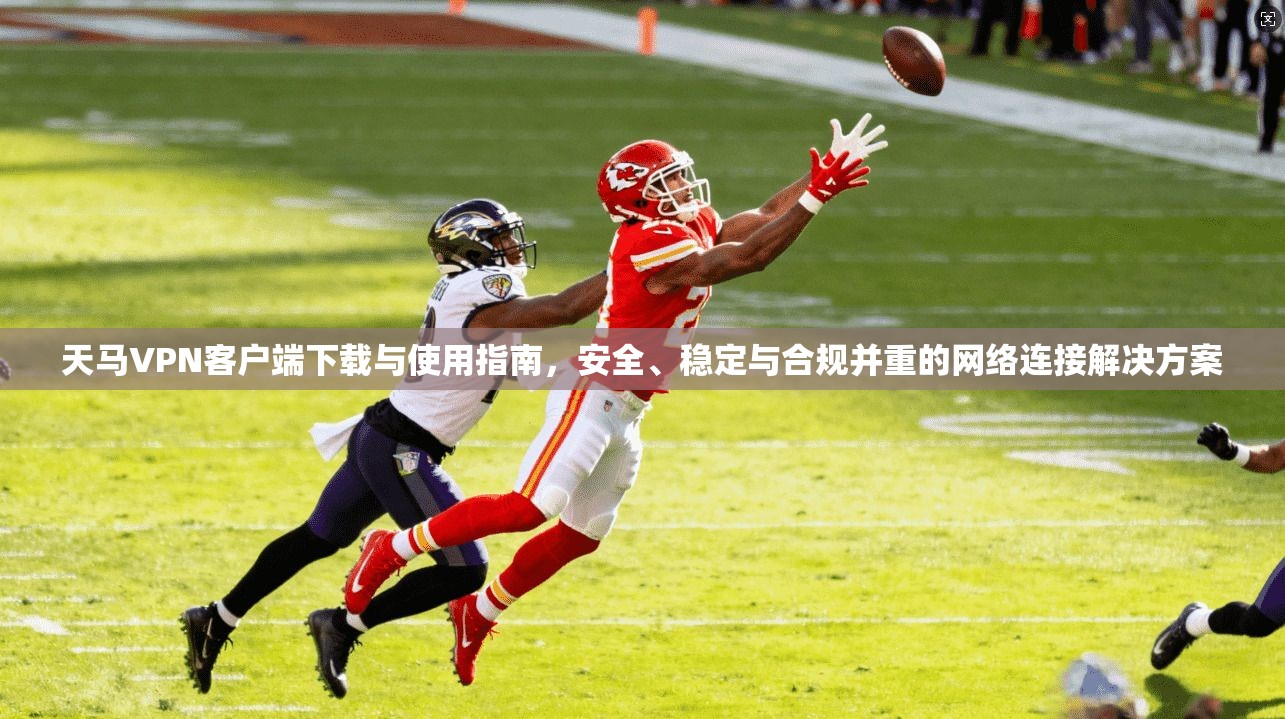 天马VPN客户端下载与使用指南，安全、稳定与合规并重的网络连接解决方案