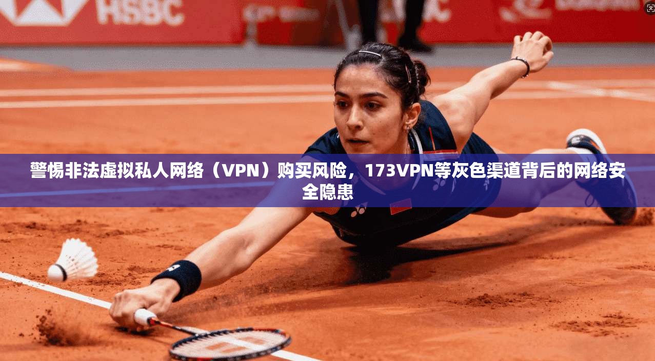 警惕非法虚拟私人网络（VPN）购买风险，173VPN等灰色渠道背后的网络安全隐患