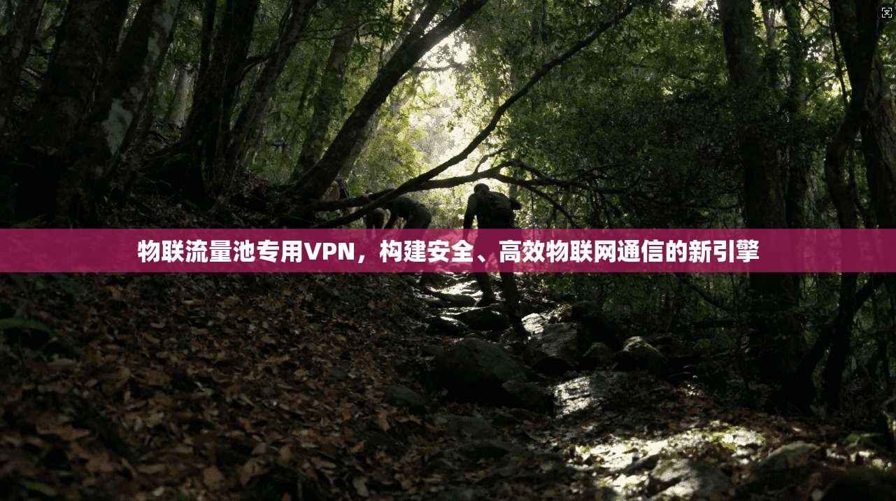 物联流量池专用VPN,构建安全、高效物联网通信的新引擎 物联流量池专用VPN,构建安全、高效物联网通信的新引擎