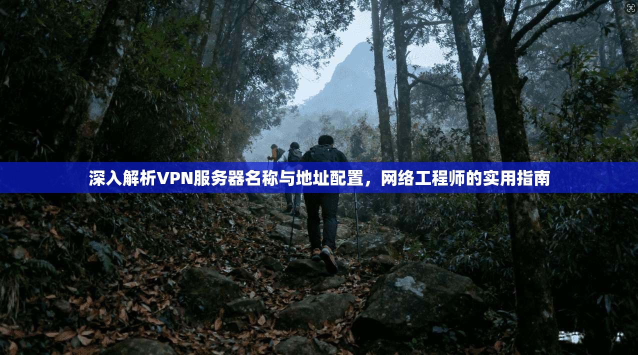 深入解析VPN服务器名称与地址配置，网络工程师的实用指南