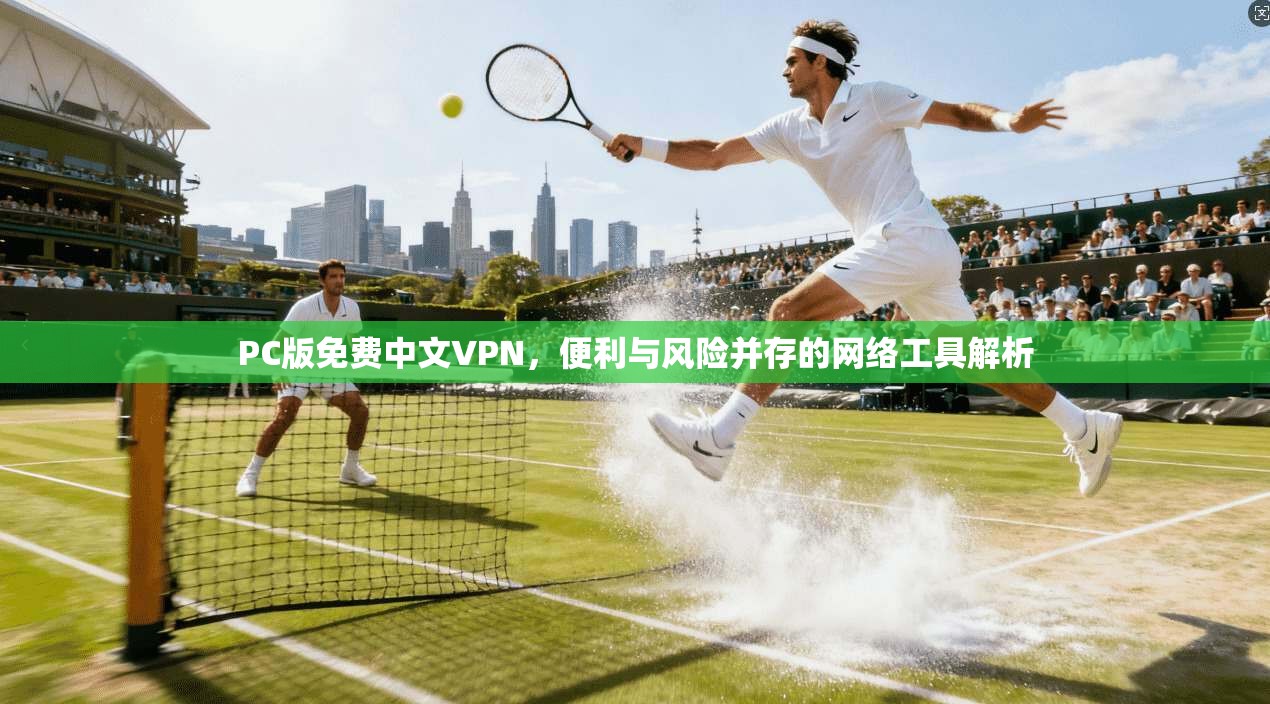 PC版免费中文VPN，便利与风险并存的网络工具解析