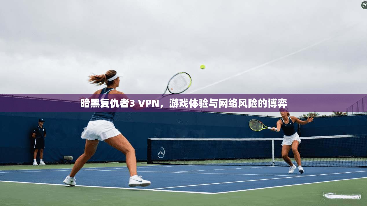 暗黑复仇者3 VPN，游戏体验与网络风险的博弈