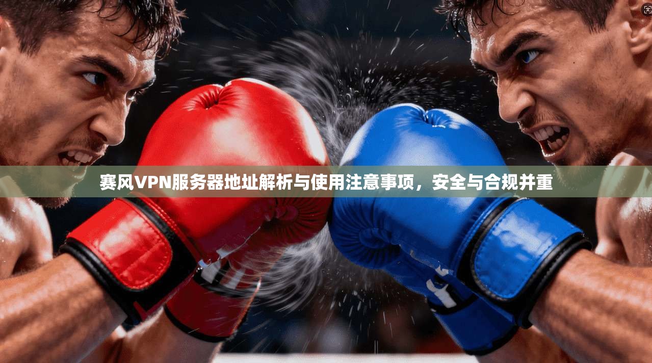 赛风VPN服务器地址解析与使用注意事项，安全与合规并重