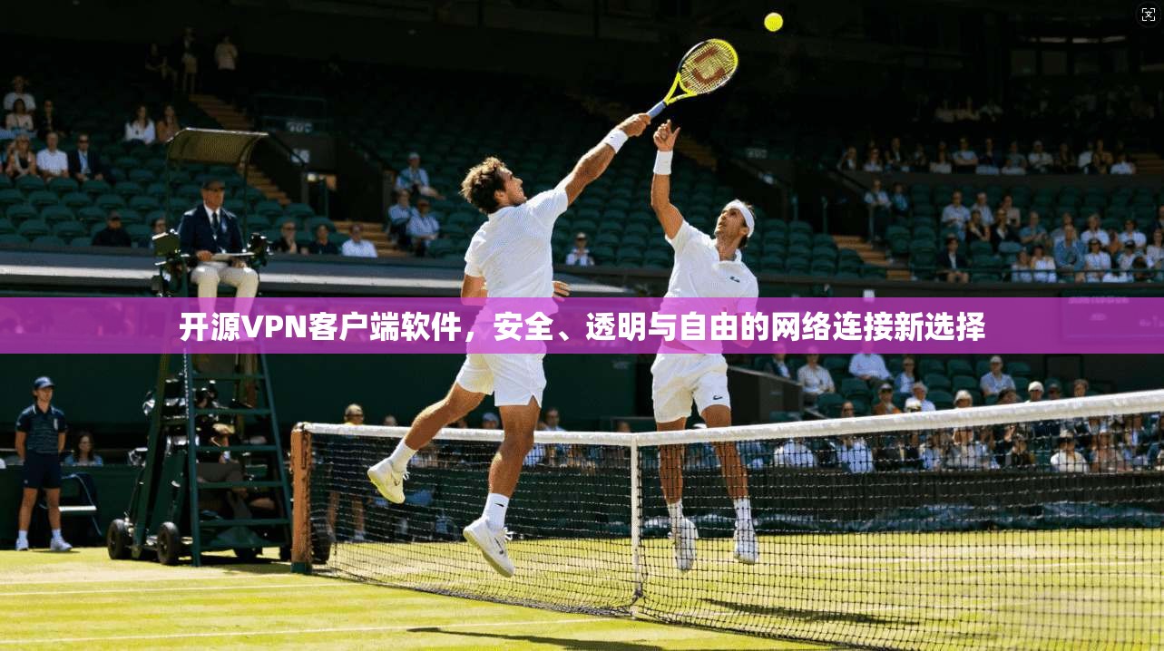 开源VPN客户端软件，安全、透明与自由的网络连接新选择