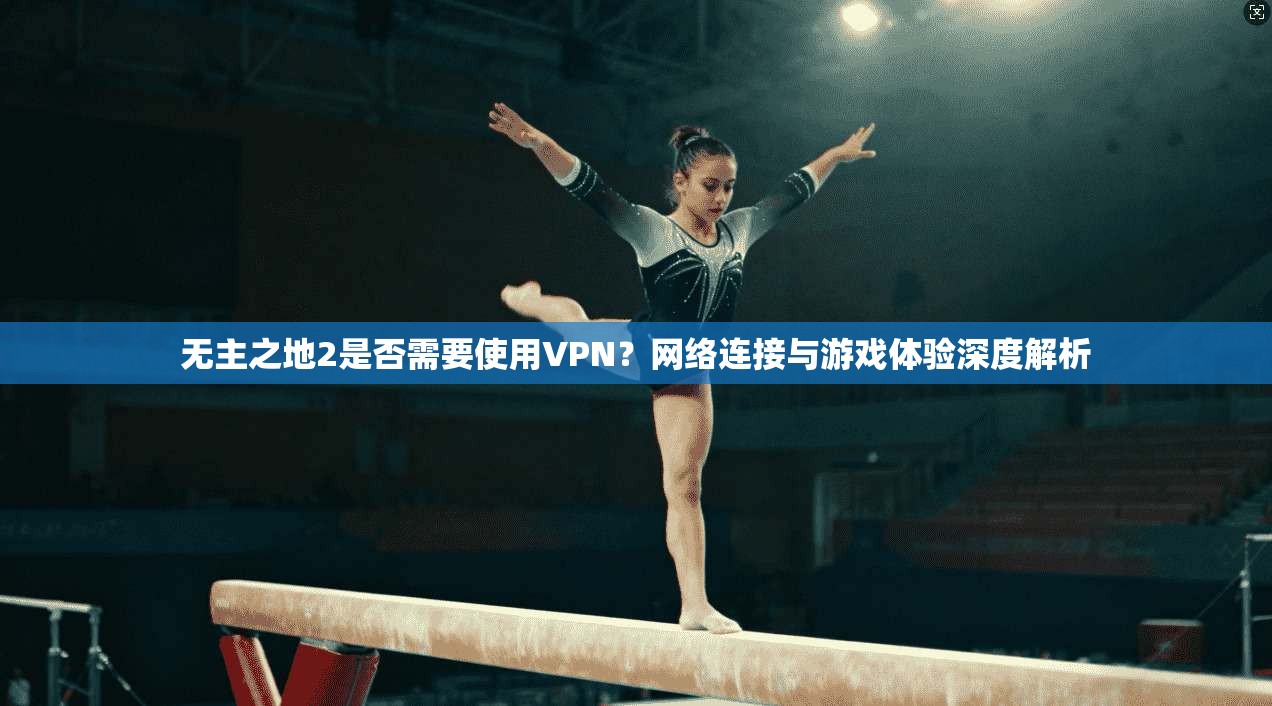 无主之地2是否需要使用VPN？网络连接与游戏体验深度解析