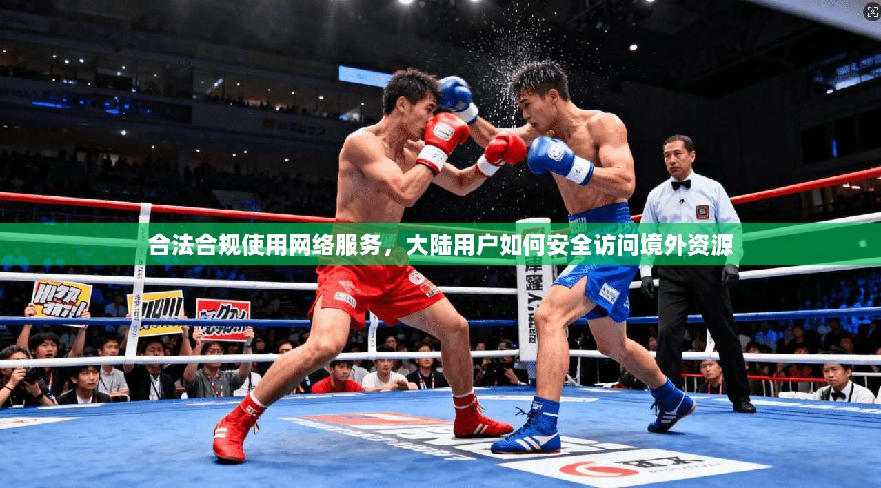 合法合规使用网络服务，大陆用户如何安全访问境外资源