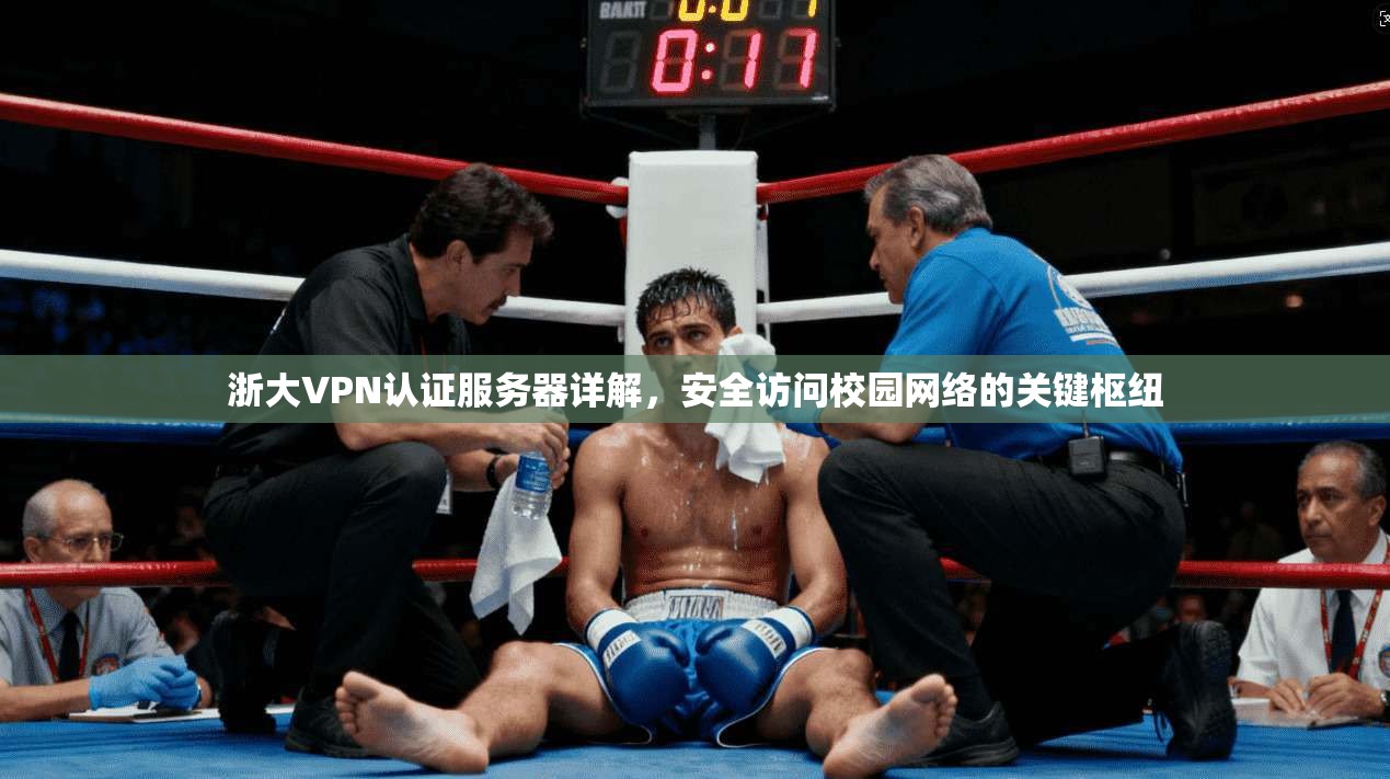 浙大VPN认证服务器详解，安全访问校园网络的关键枢纽