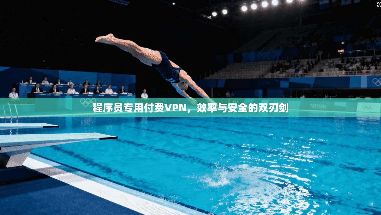 程序员专用付费VPN，效率与安全的双刃剑