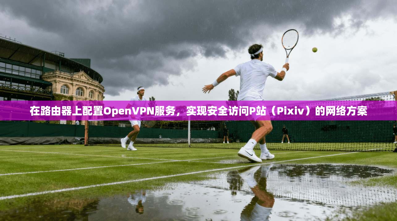 在路由器上配置OpenVPN服务，实现安全访问P站（Pixiv）的网络方案