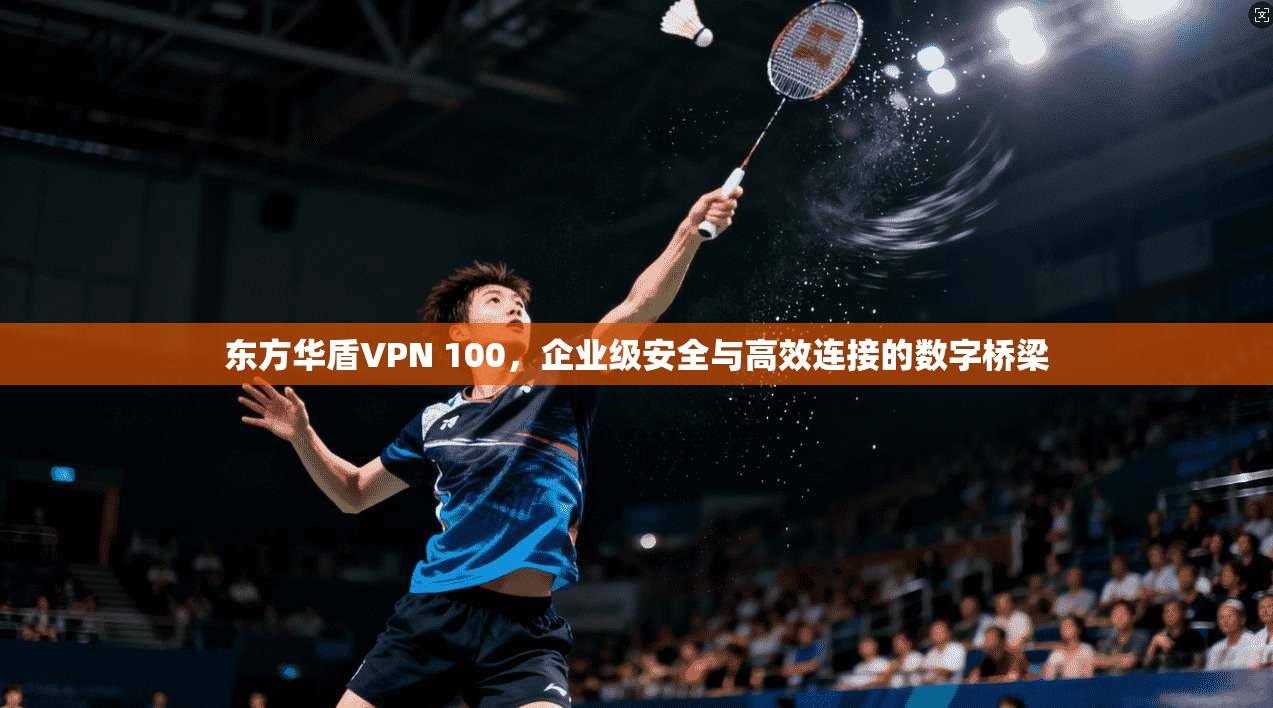 东方华盾VPN 100，企业级安全与高效连接的数字桥梁