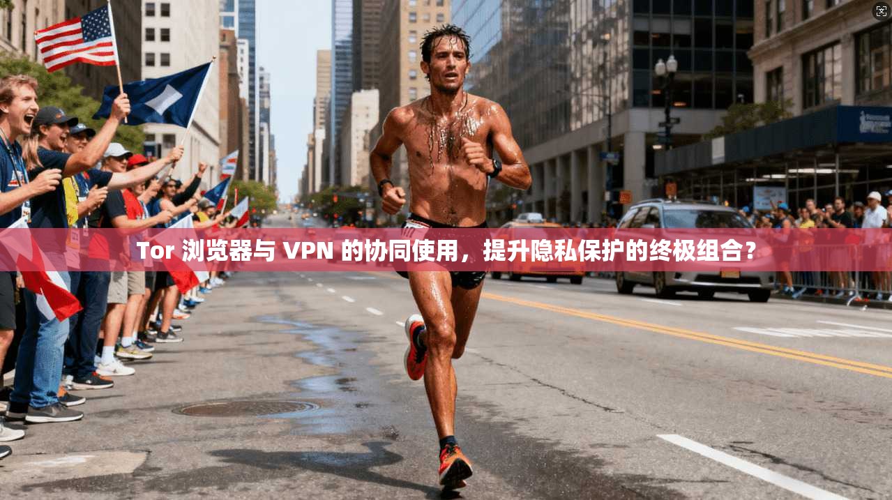 Tor 浏览器与 VPN 的协同使用，提升隐私保护的终极组合？