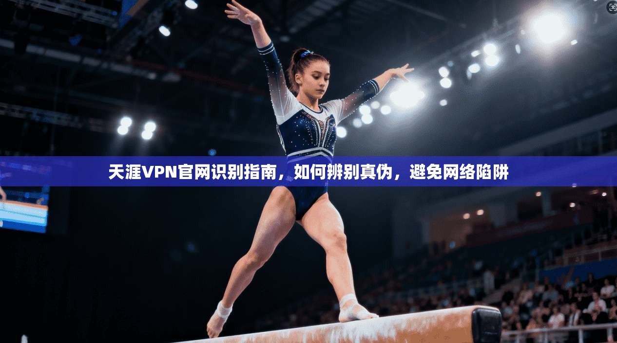 天涯VPN官网识别指南，如何辨别真伪，避免网络陷阱
