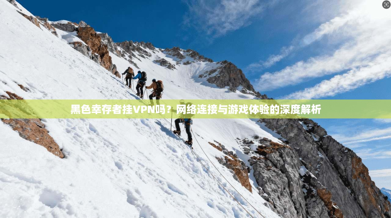 黑色幸存者挂VPN吗?网络连接与游戏体验的深度解析 黑色幸存者挂VPN吗?网络连接与游戏体验的深度解析