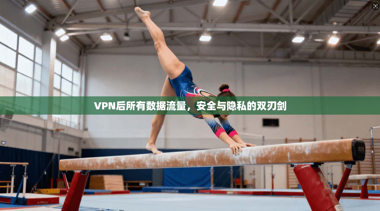 VPN后所有数据流量，安全与隐私的双刃剑