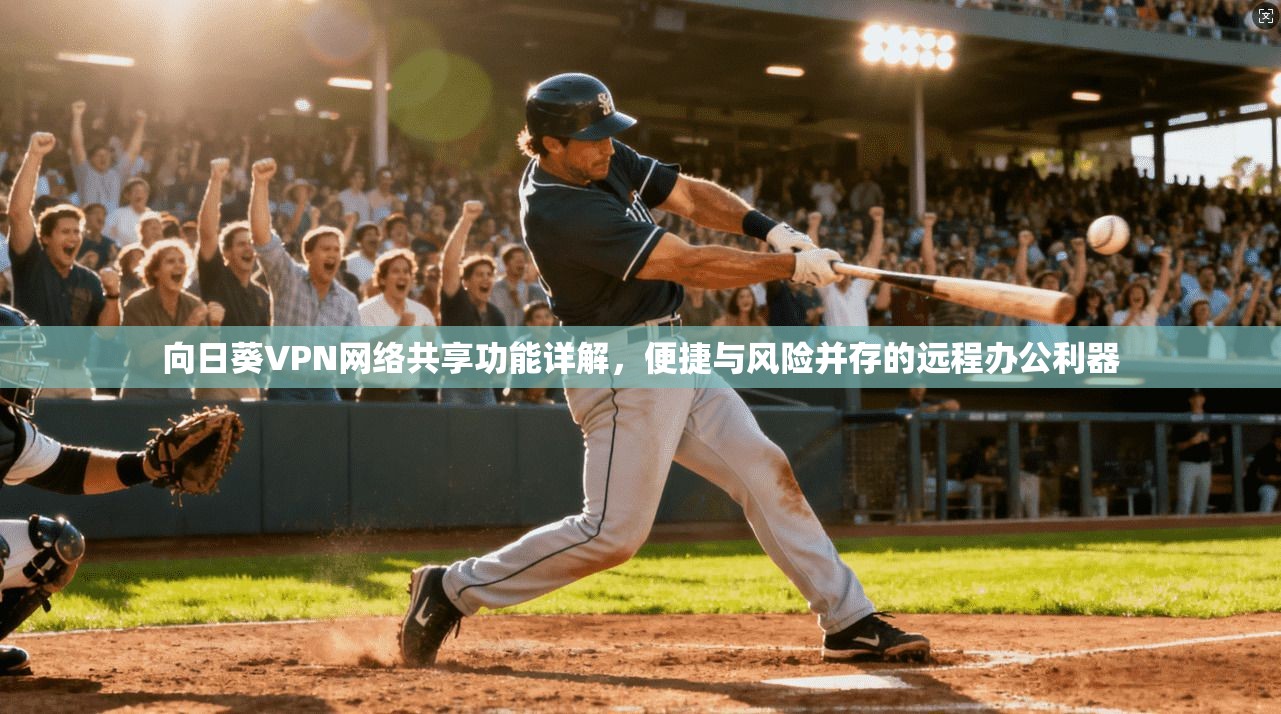 向日葵VPN网络共享功能详解，便捷与风险并存的远程办公利器
