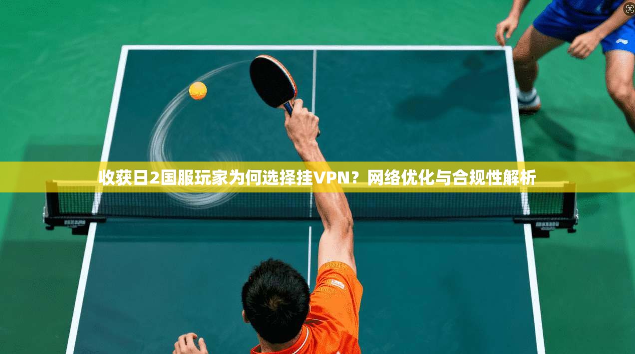 收获日2国服玩家为何选择挂VPN？网络优化与合规性解析