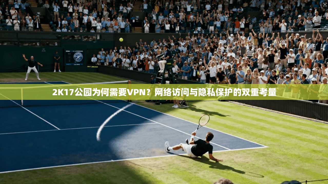 2K17公园为何需要VPN？网络访问与隐私保护的双重考量