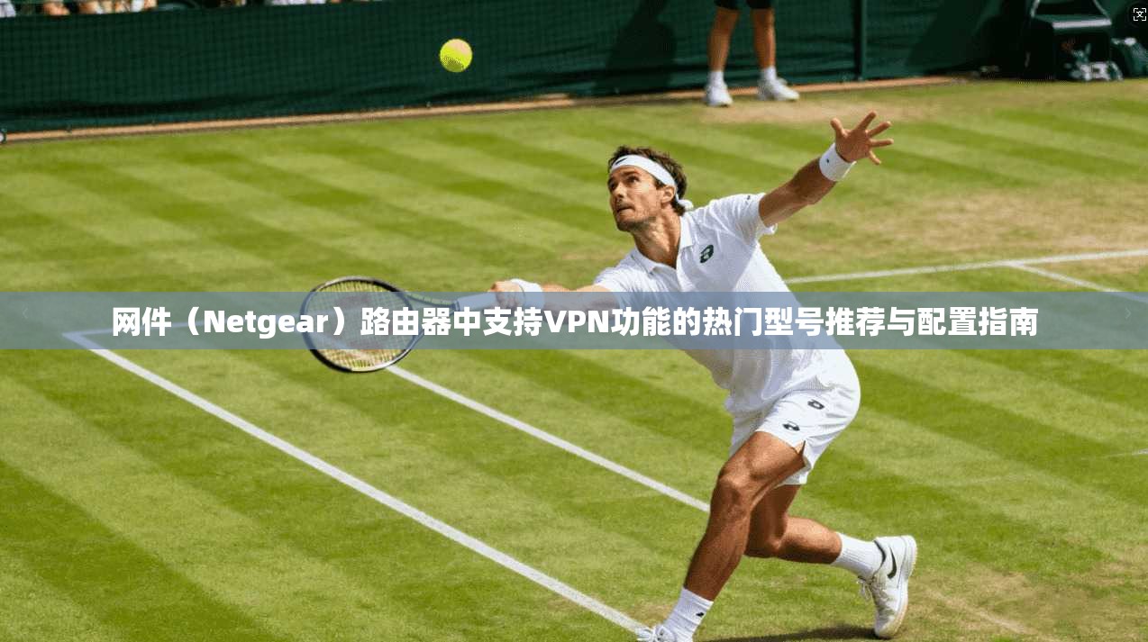 网件（Netgear）路由器中支持VPN功能的热门型号推荐与配置指南