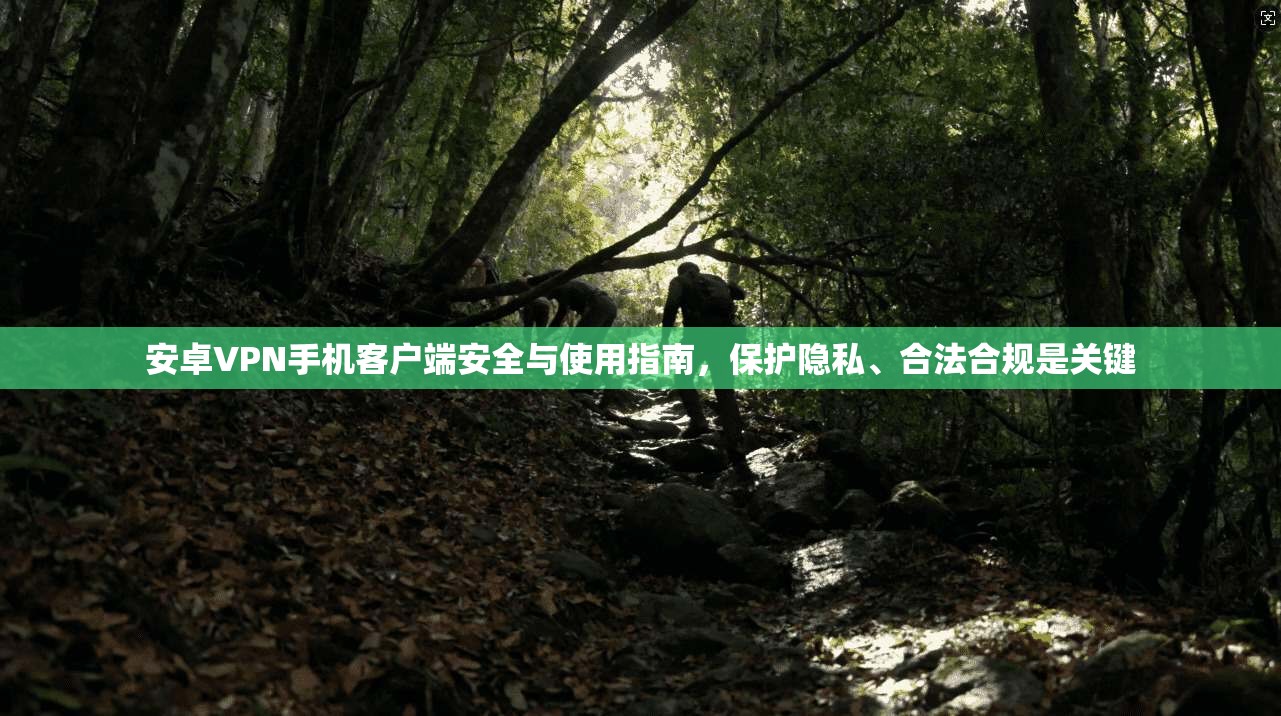 安卓VPN手机客户端安全与使用指南，保护隐私、合法合规是关键