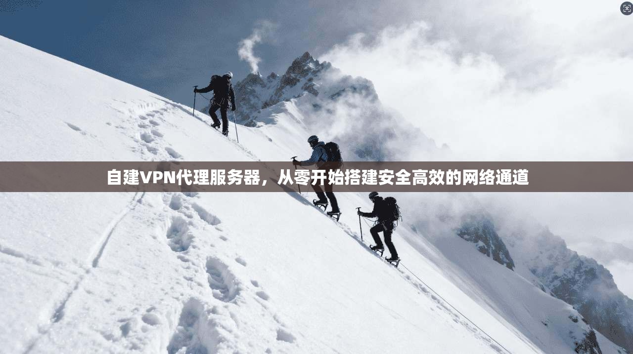 自建VPN代理服务器，从零开始搭建安全高效的网络通道