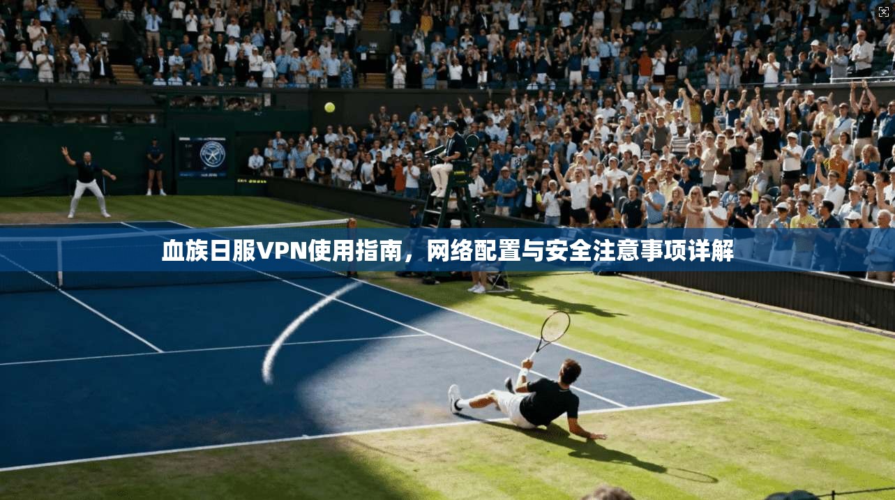 血族日服VPN使用指南，网络配置与安全注意事项详解